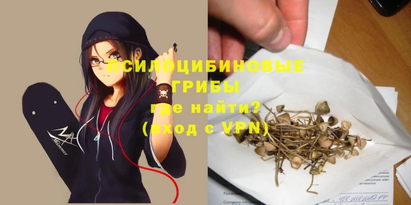 мяу мяу кристалл Богданович