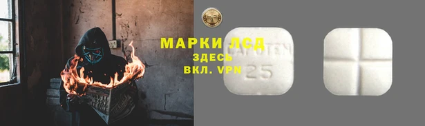 мяу мяу кристалл Богданович