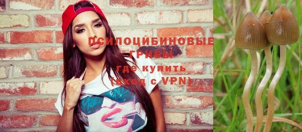 не бодяженный Богородск