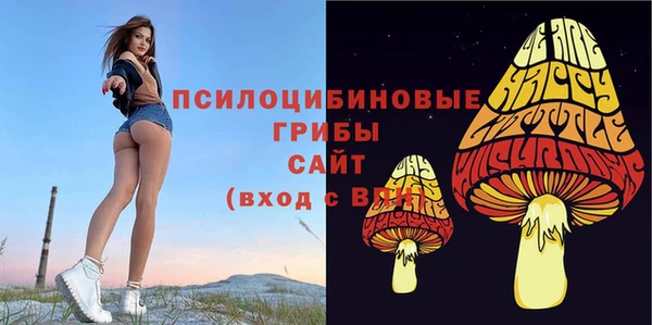 не бодяженный Богородск