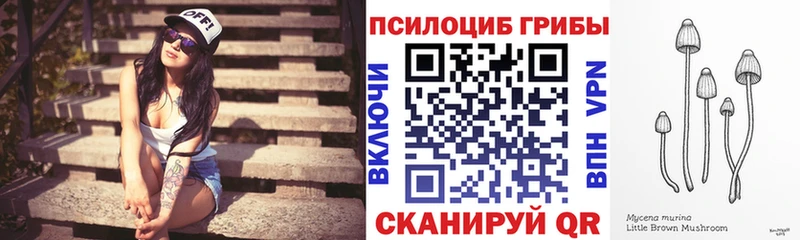 площадка как зайти  Няндома  Галлюциногенные грибы прущие грибы  OMG ссылка 